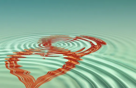 Rokubet Casino Stuðningur